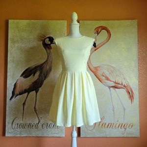 3/$25 NWT Honey and Rosie Retro Party Dress Yellow Small Butter Summer Mini